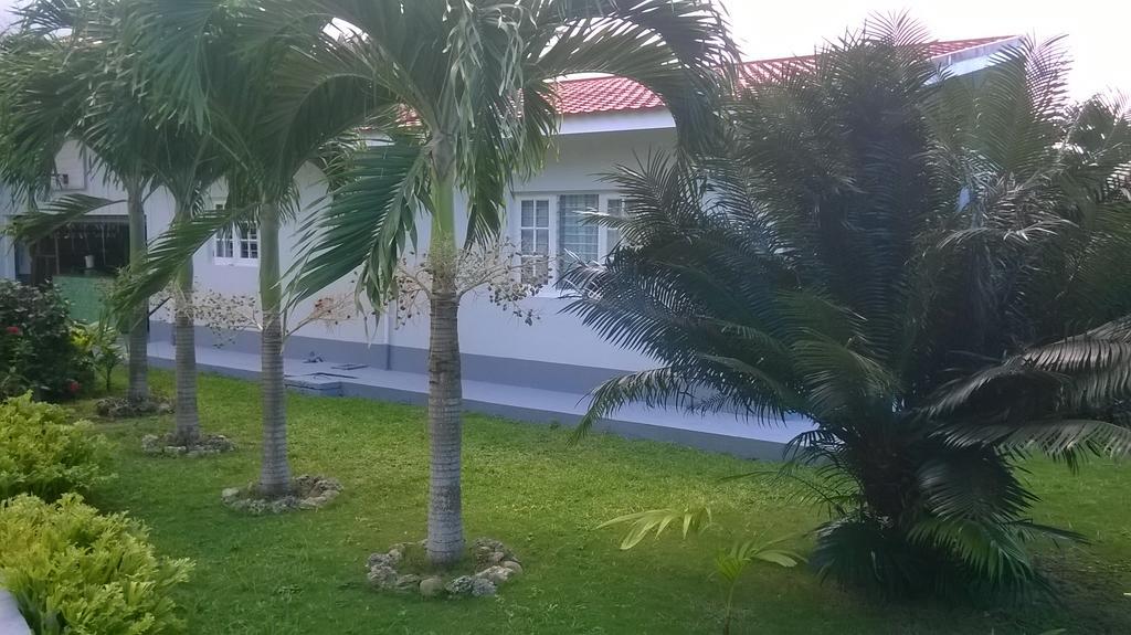 Apartament Fairy Hill Palms Port Antonio Zewnętrze zdjęcie